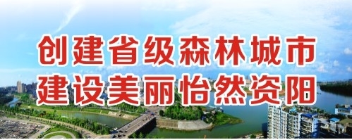 嗯不要啊啊啊用力插捏奶头创建省级森林城市 建设美丽怡然资阳